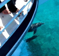 Pelican Charters - Tourism Search