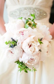 Karralyka Centre - Tourism Search 3