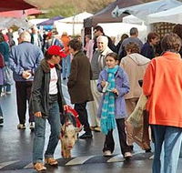 Arts Nunawading Inc - Tourism Search