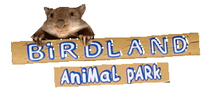 Birdland Animal Park - Tourism Search