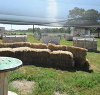 We Are Paintball - Tourism Search