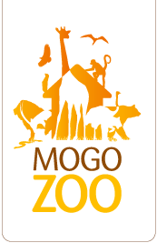 Mogo Zoo - Tourism Search 0