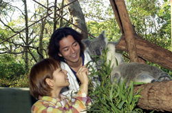 Taronga Zoo - Tourism Search 2