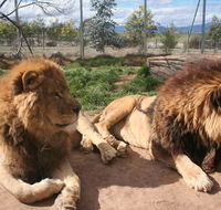 Mansfield Zoo - Tourism Search