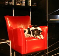 Old Fitzroy Theatre - Tourism Search