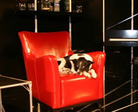 Old Fitzroy Theatre - Tourism Search 0