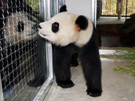 Adelaide Zoo - Tourism Search 3