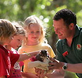 Cleland Wildlife Park - Tourism Search