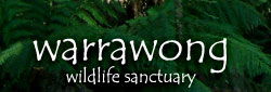 Warrawong Wildlife Park - Tourism Search 0