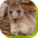 Calmsley Hill City Farm - Tourism Search 0