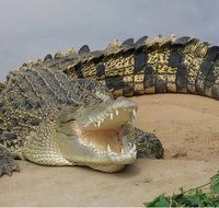 Dundee's Wildlife Park - Tourism Search