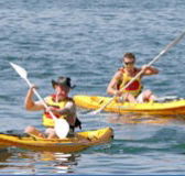Manly Kayaks - Tourism Search