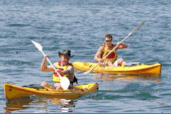 Manly Kayaks - Tourism Search 0