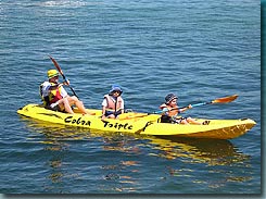 Manly Kayaks - Tourism Search 3