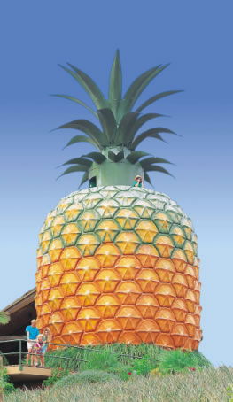 The Big Pineapple - Tourism Search 0