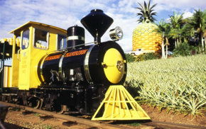 The Big Pineapple - Tourism Search 3