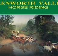 Glenworth Valley Horseriding - Tourism Search