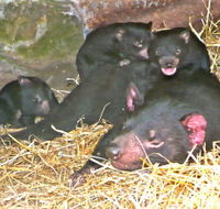 East Coast Natureworld - Tourism Search