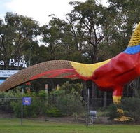 Gumbuya Park - Tourism Search