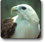 Kakadu National Park - Tourism Search