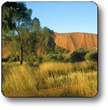 Uluru - Kata Tjuta National Park - Tourism Search 0