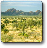 Uluru - Kata Tjuta National Park - Tourism Search 2
