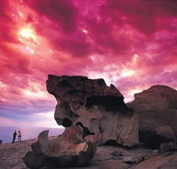 Kangaroo Island Adventure Tour 2 day/1 night - Tourism Search