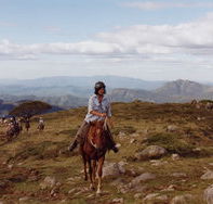 High Country Horses - Tourism Search