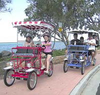 Beach Safaris - Tourism Search