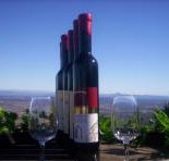 Mount Tamborine Winery  Homestead - Tourism Search