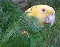 Gorge Wildlife Park - Tourism Search 3