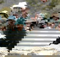 Tasmania Zoo - Tourism Search