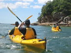 Sydney Harbour Kayaks - Tourism Search 1
