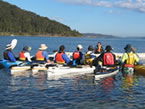 Sydney Harbour Kayaks - Tourism Search 2