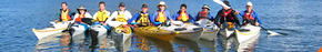 Sydney Harbour Kayaks - Tourism Search 3