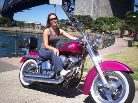 A Wild Ride - Tourism Search 2