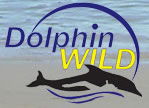 Moreton Island QLD Tourism Search