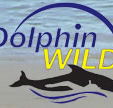 Dolphin Wild - Tourism Search