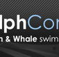 Dolphcom - Dolphin  Whale Swimming Adventures - Tourism Search