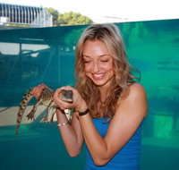 Crocosaurus Cove - Tourism Search