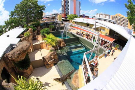 Crocosaurus Cove - Tourism Search 1