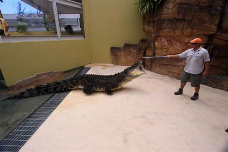 Crocosaurus Cove - Tourism Search 2
