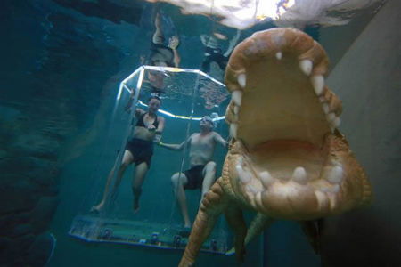 Crocosaurus Cove - Tourism Search 3