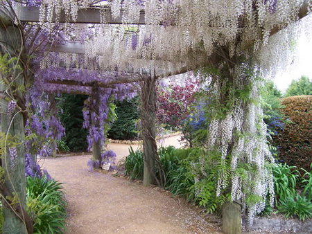 Abingdon Miniature Village - Tourism Search 0