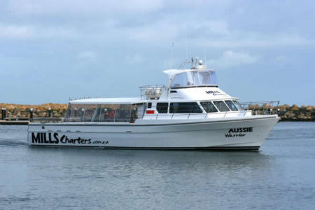 Mills Charters Fishing And Whale Watch Cruises - Tourism Search 1