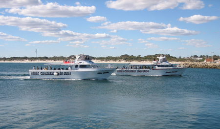Mills Charters Fishing And Whale Watch Cruises - Tourism Search 2