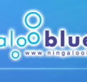Ningaloo Blue Dive - Tourism Search