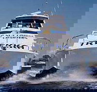 Sunshine Coast Fishing Charters - Tourism Search