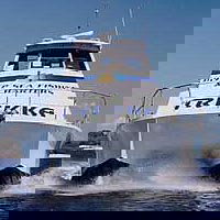 Sunshine Coast Fishing Charters - Tourism Search 0