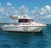 Sunshine Coast Fishing Charters - Tourism Search 1